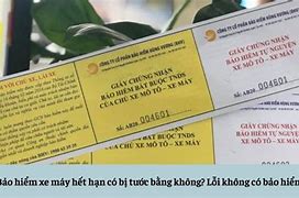 Không Có Bảo Hiểm Xe Máy Có Bị Giữ Bằng Lái Không